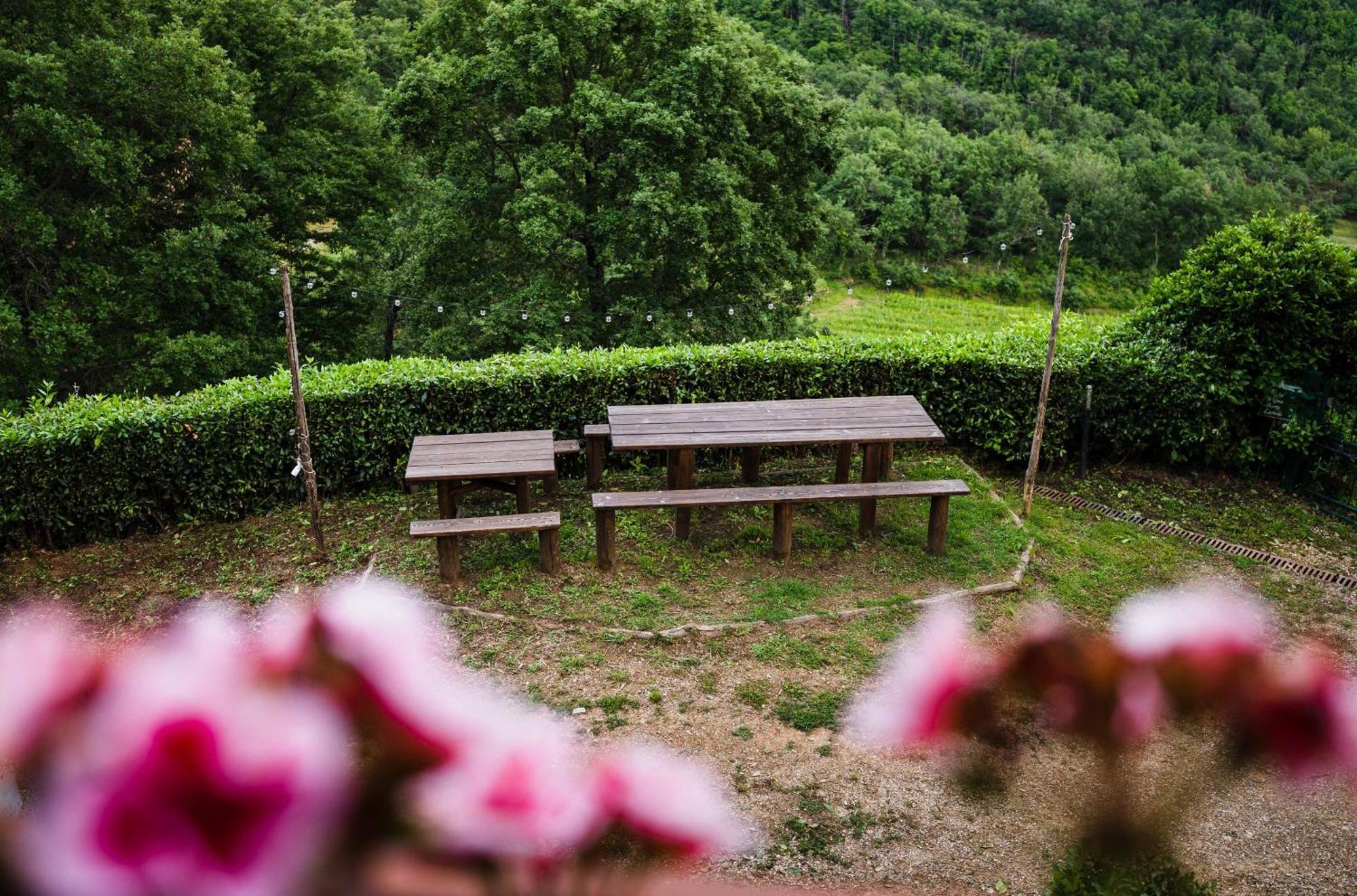Rifugium Guest House Greve in Chianti Ngoại thất bức ảnh